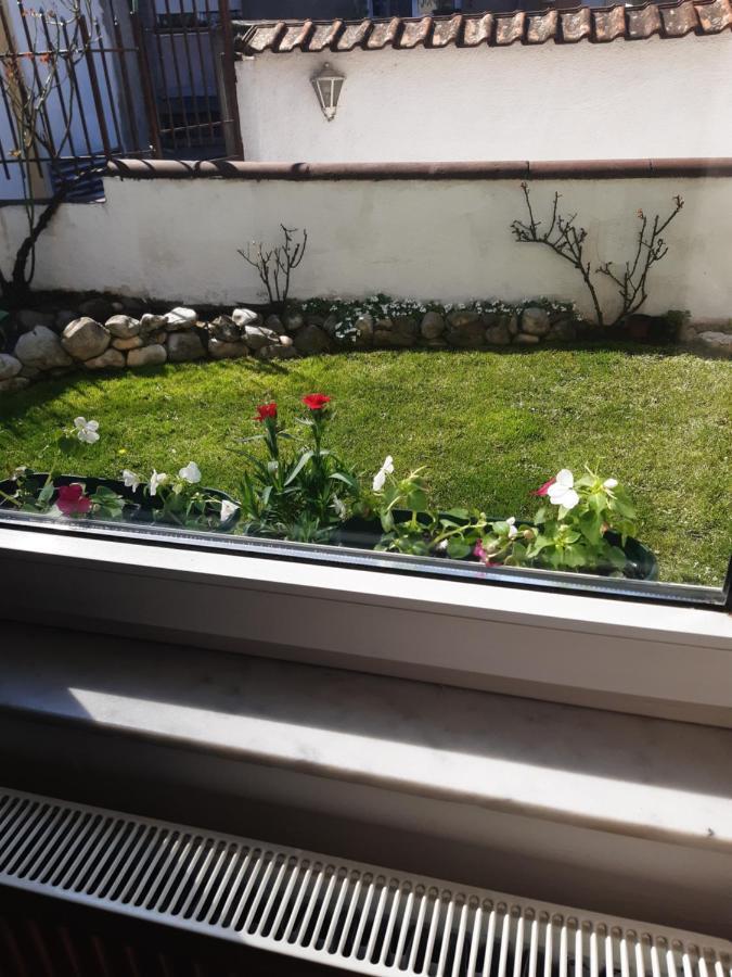 Apartman Mitic Požarevac Esterno foto